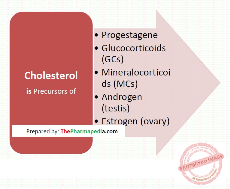 Precursors of Corticosteroids- Cholesterol, Pharmapedia