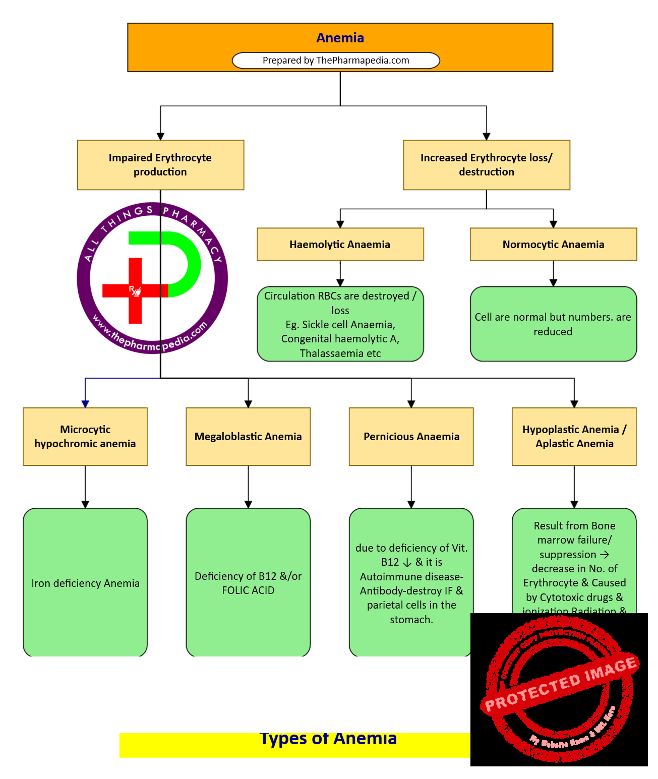 Anemia, Type of Anemia, Pharmacology, anemia, types of anemia, iron deficiency anemia, vitamin B12 deficiency anemia, aplastic anemia, hemolytic anemia, sickle cell anemia, 