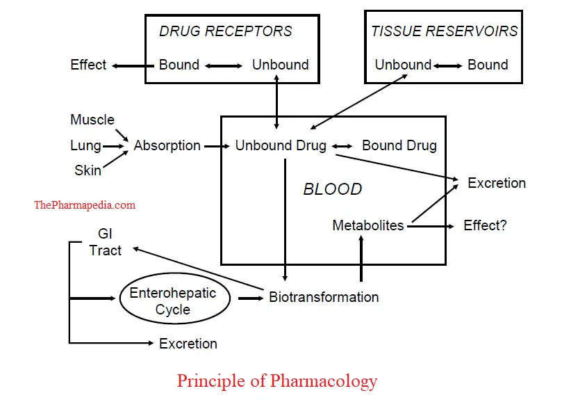 Introduction and Scope of Pharmacology The Pharmapedia