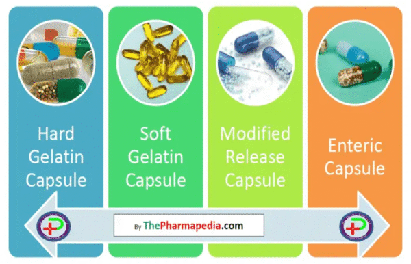 Modified Capsule Different Types of Capsules & their Capsule Size
