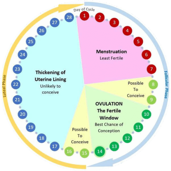 Family Planning and contraceptive methods | Pharmacy Notes