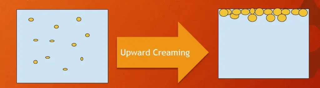 Diagram showing upward creaming in an oil-in-water emulsion