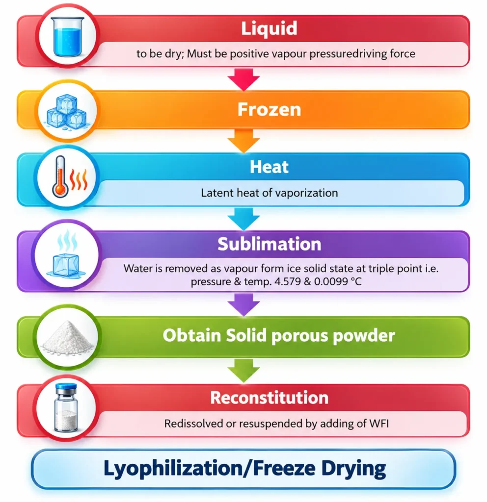 Pharmaceutical lyophilization process showing freezing, heating, sublimation, porous powder formation, and reconstitution